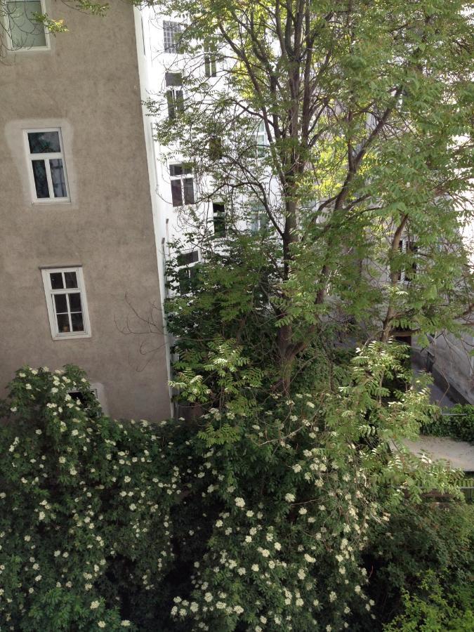 Augartenblick Penthouse 15 Vienna Esterno foto